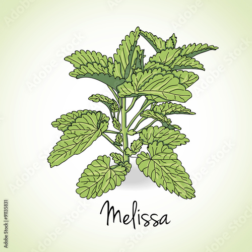 Mellissa Herbs and Spices.