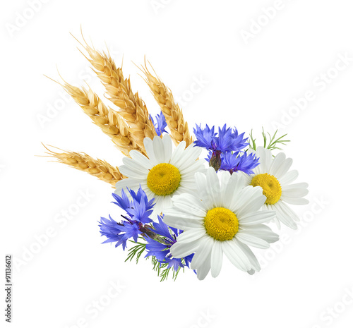 Fototapeta Naklejka Na Ścianę i Meble -  Wheat blue cornflower chamomile isolated on white background
