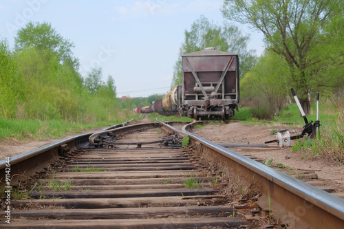 Wallpaper Mural cars on the track in the woods Torontodigital.ca