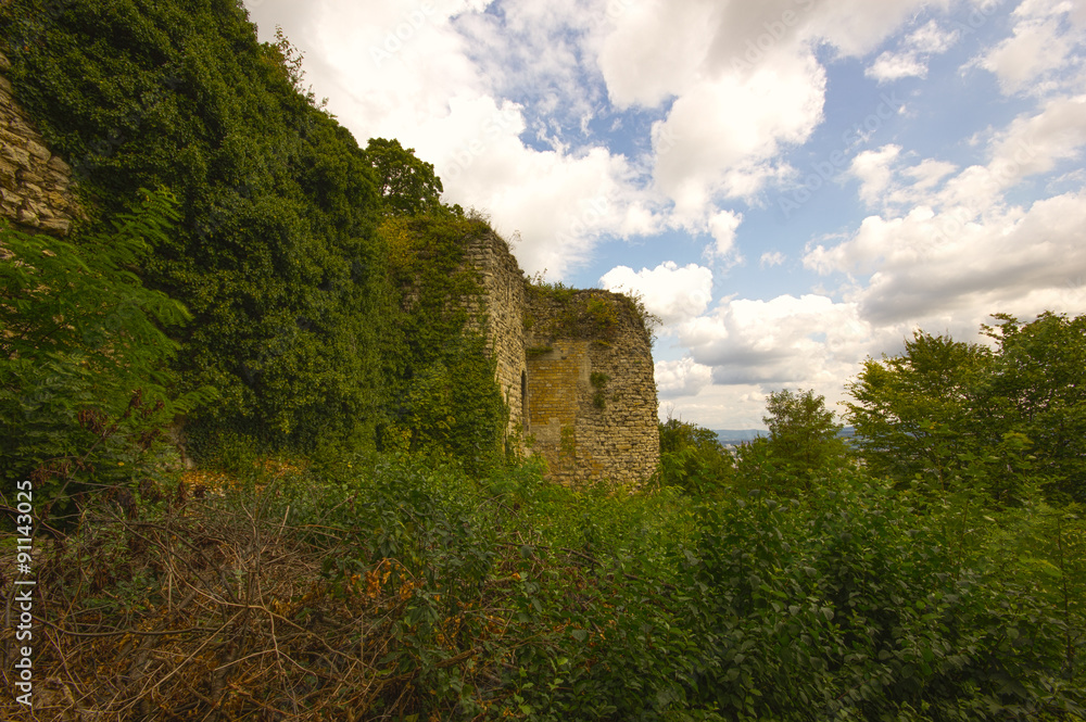Ruine der vorderen Wartenberg in Muttenz