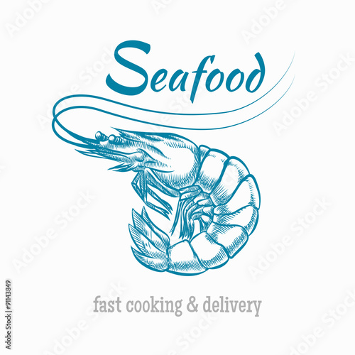 Vector sketch shrimp seafood logo