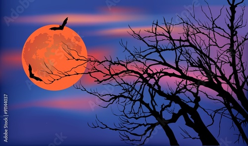 Spooky full moon night background