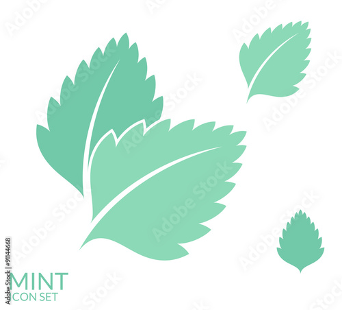 Mint. Icon set. Isolated leaves on white background