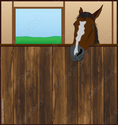 Horse Stall