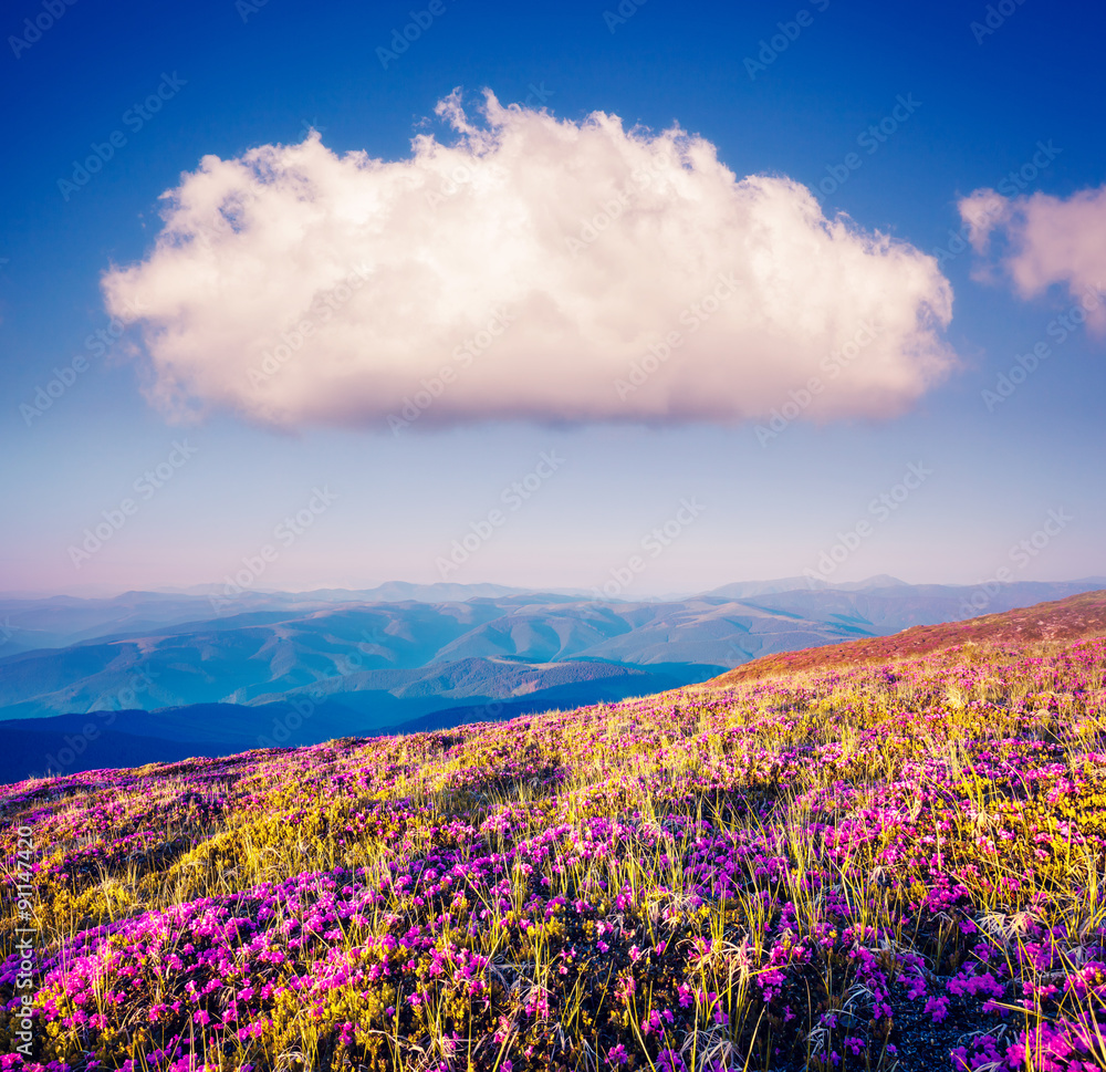 Obraz premium magical mountains landscape