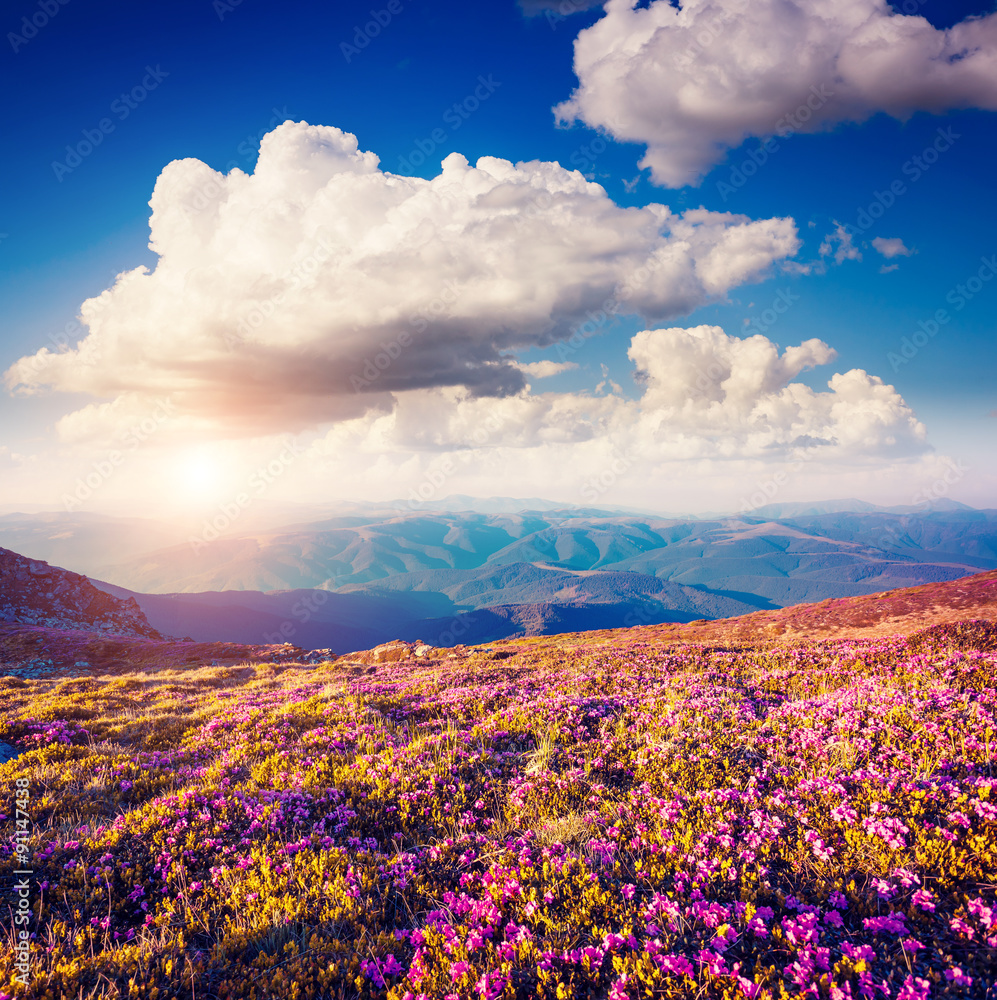 magical mountains landscape magical mountains landscape