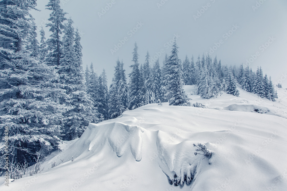 Obraz premium Dramatic wintry landscape
