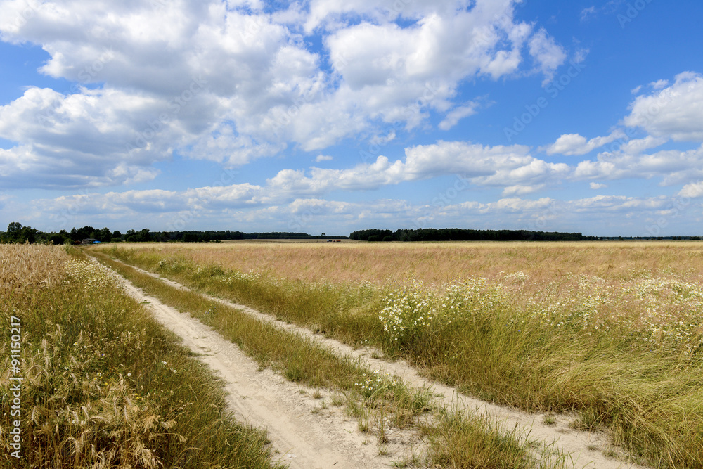 Obraz premium Getreidefeld