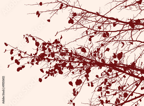 Naklejka gałązka jesień las drzewa natura