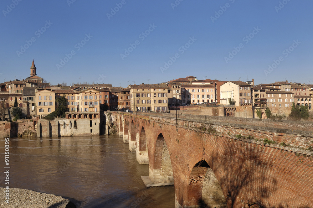 View of the Albi, Midi-Pyrenees,France