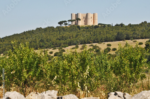 Castel del Monte - Puglia photo