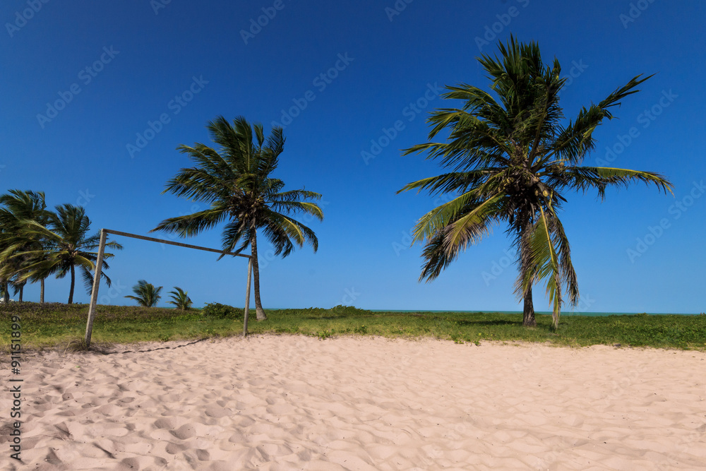 tropical beach with rustic goal, palm trees, white sand and pure