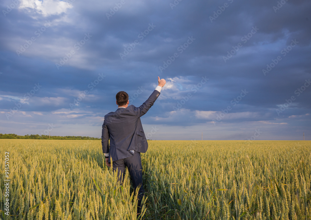 happy farmer, businessman, standing in wheat field with his happy farmer, businessman, standing in wheat field with his