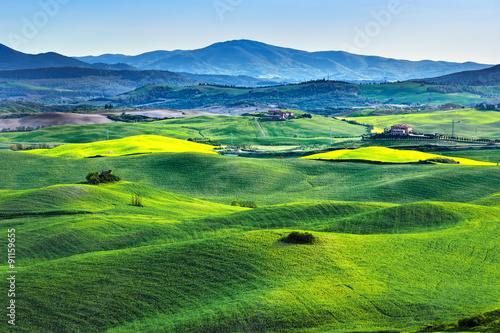 Tuscany spring  rolling hills on sunset. Volterra rural landscap
