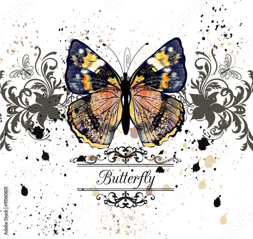Vector illustration with detailed butterfly in vintage style