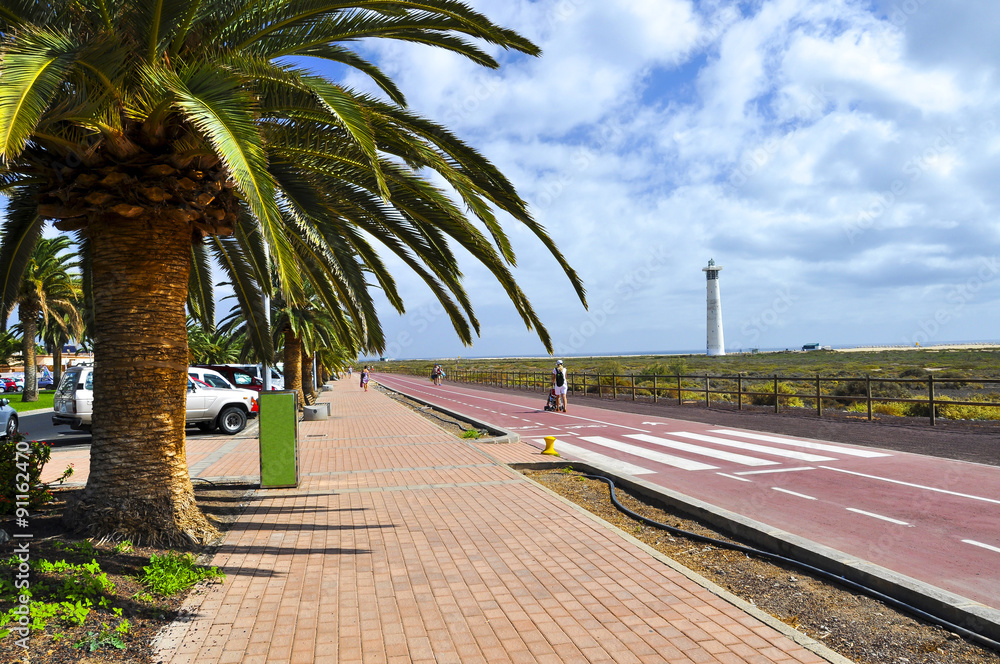 Bicycle path and palm avenue. Jandia. Fuerteventura.