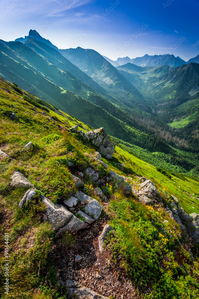 Obraz premium Dawn in the Tatra Mountains in summer