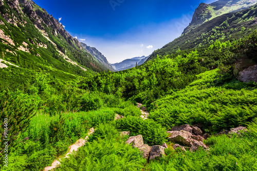Stony mountains trail leading the top