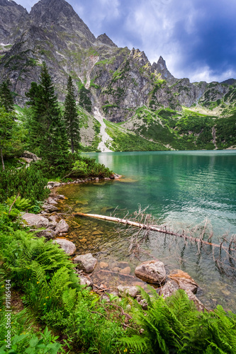 Fototapeta Naklejka Na Ścianę i Meble -  Beautiful pond in the mountains at summer