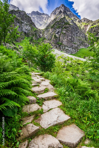 Mountain trail leading to the top