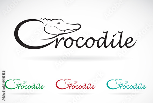 Vector design crocodile is text on a white background.