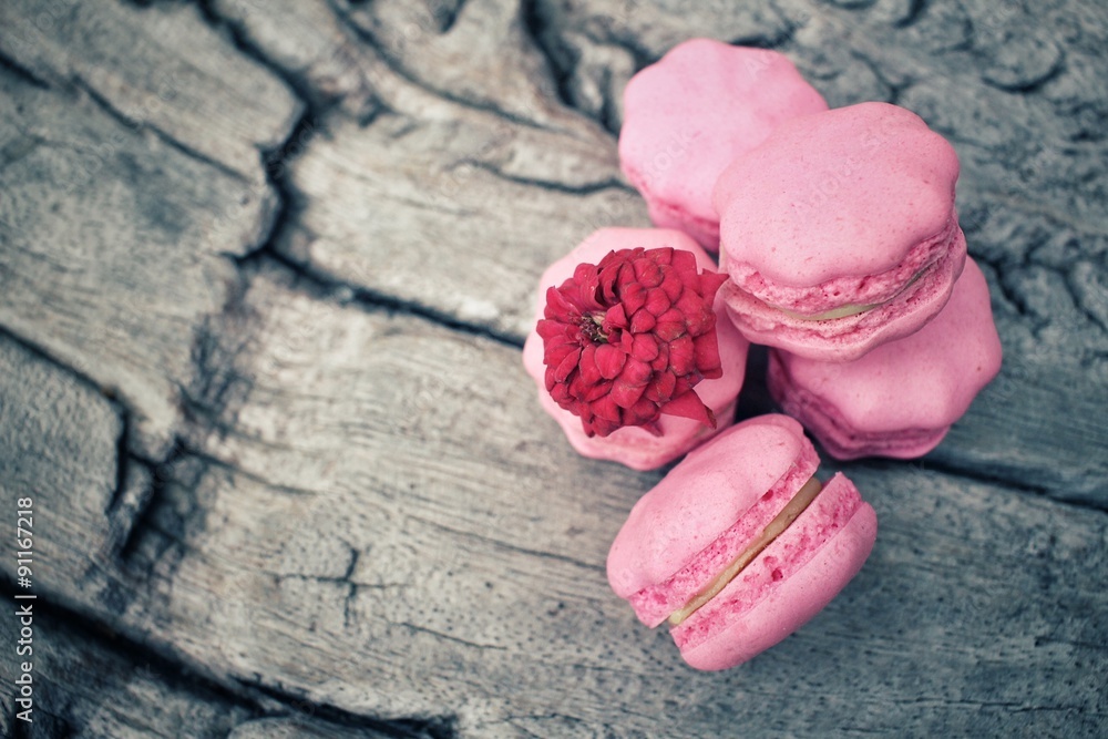 Obraz premium French macaroons with rose