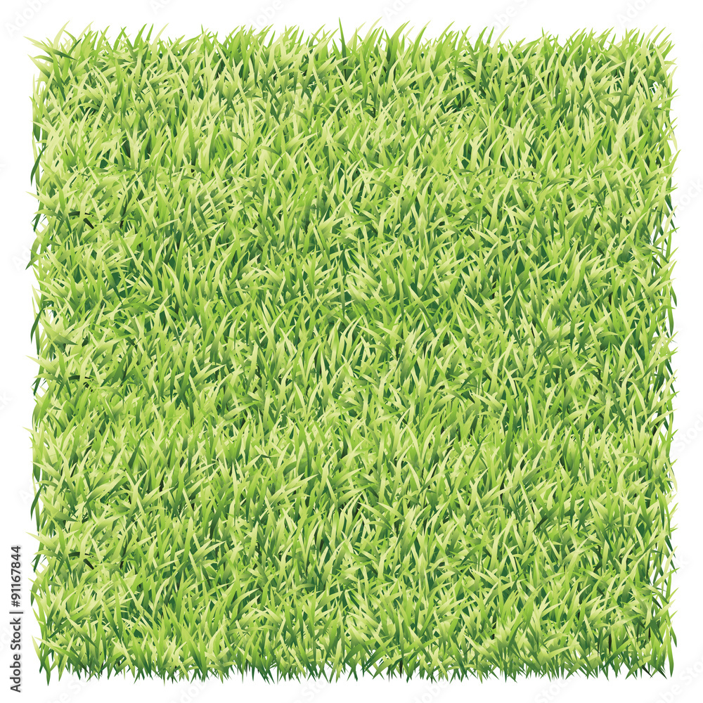 Square of light green grass. A lawn light green background vector. Stock  Vector | Adobe Stock