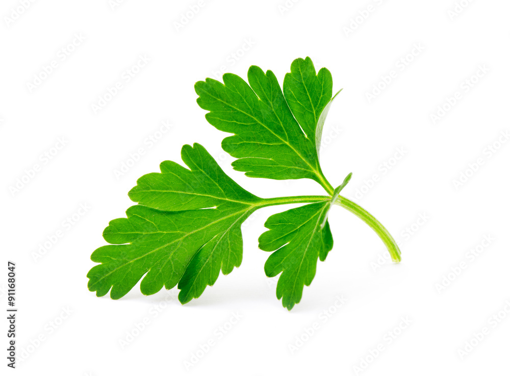 parsley parsley