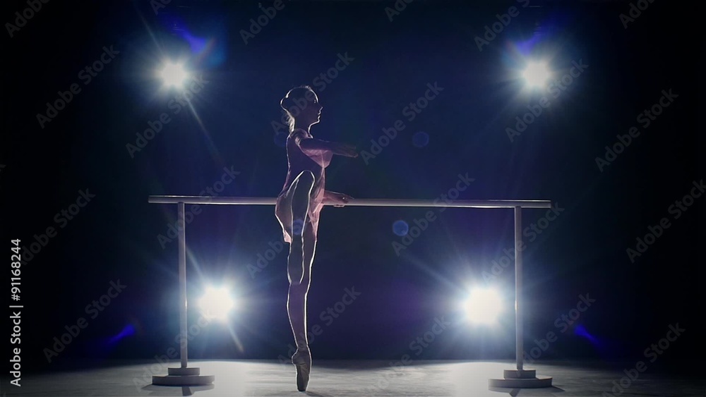 beauty ballerina near the barre. smoke. slow motion beauty ballerina near the barre. smoke. slow motion