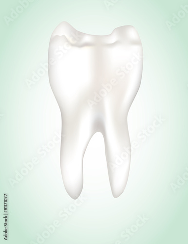 Vector tooth