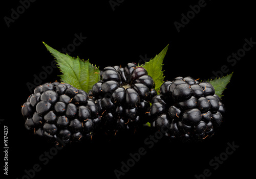 Blackberry fruit on black