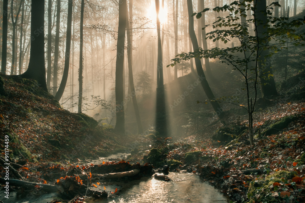 Obraz premium Die Sonne bricht durch den Nebel und reflektiert sich im Wasser.