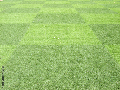 Green grass field seamless background texture