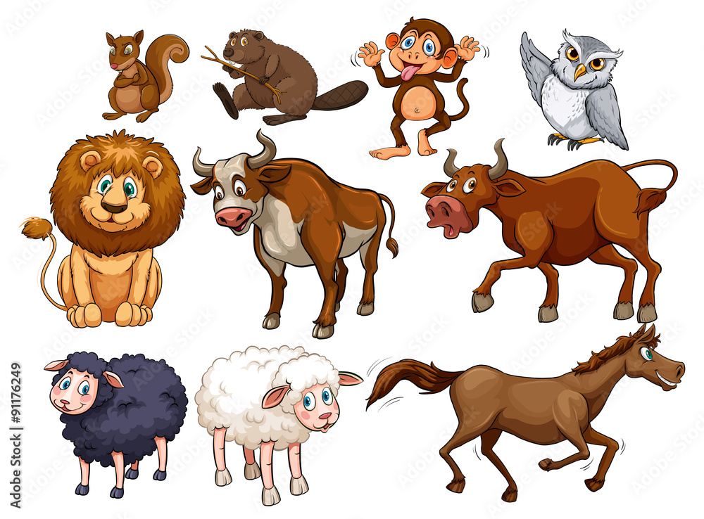 Wild animals in various types Stock Vector | Adobe Stock