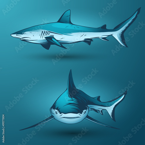 Sharks