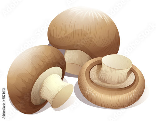 Fresh mushroom in three pieces.