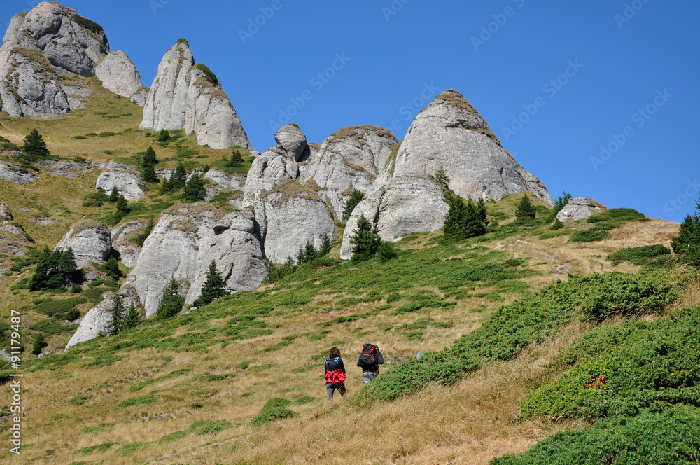 Mountain landscape in the Carpathians