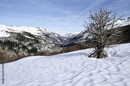 Aspe Valley in winter seen from Somport pass in Pyrenees