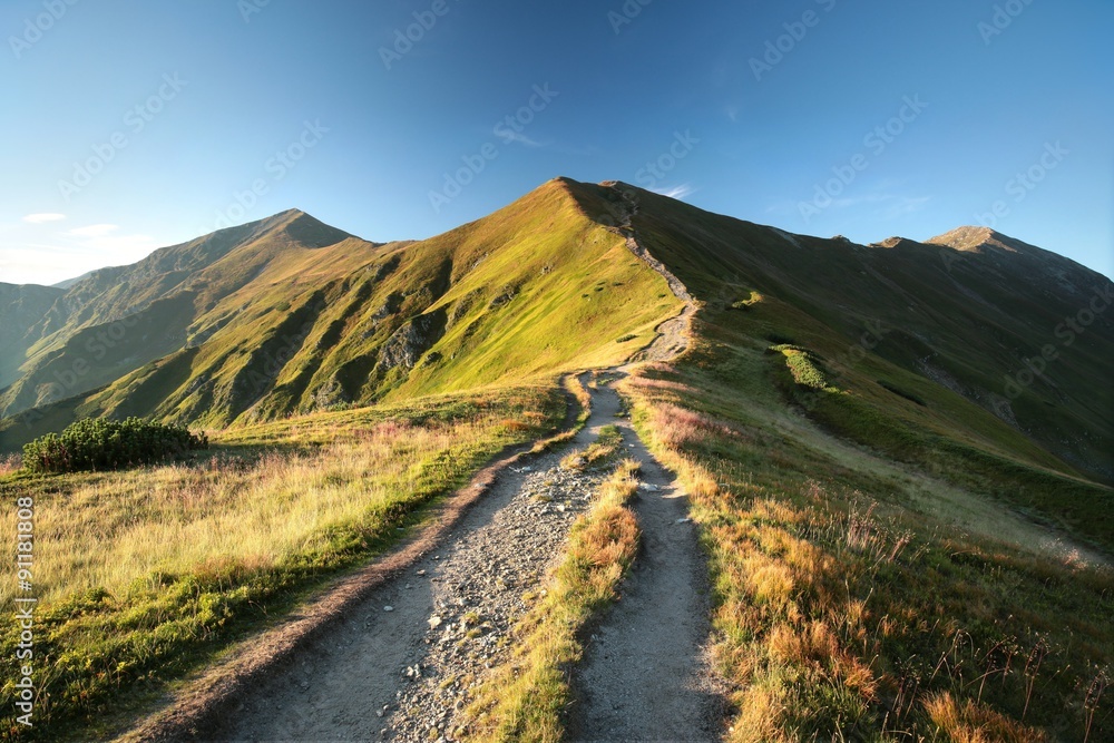 Obraz premium Trail leading to the summit in the Carpathian Mountains - Poland