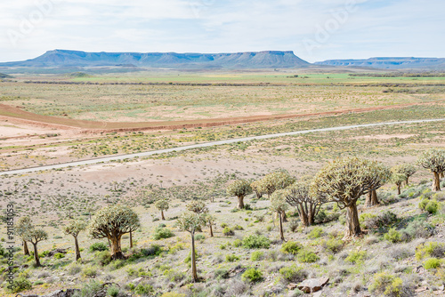 View from the Quiver Tree Forest at Gannabos photo