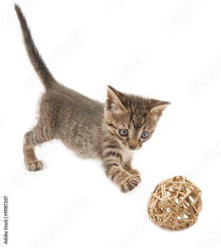 Kitten and a ball