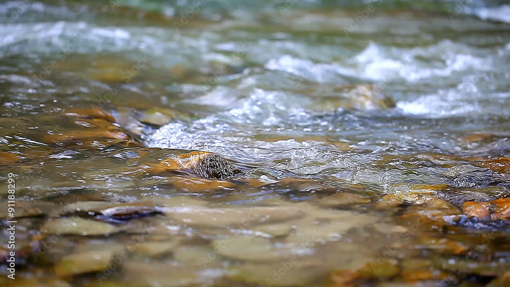stream clear mountain river over rocks stream clear mountain river over rocks