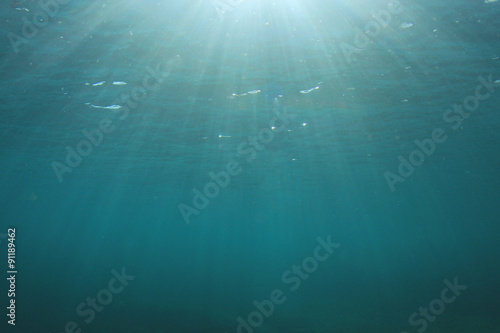 Natural underwater ocean background photo © Richard Carey