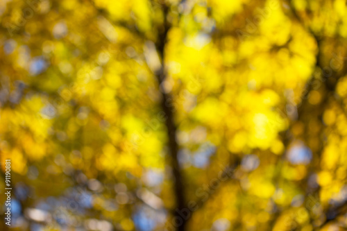 bokeh in yellow and green background photo