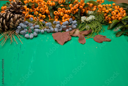 Autumn berries on a green background