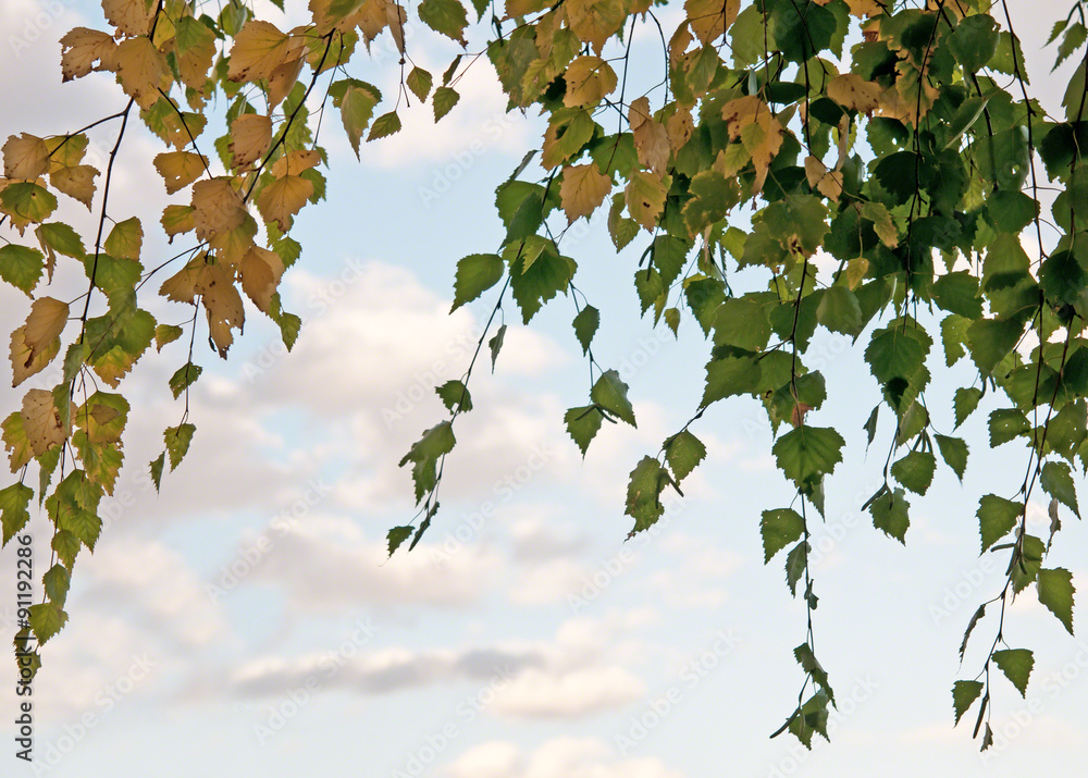 autumn leaves autumn leaves