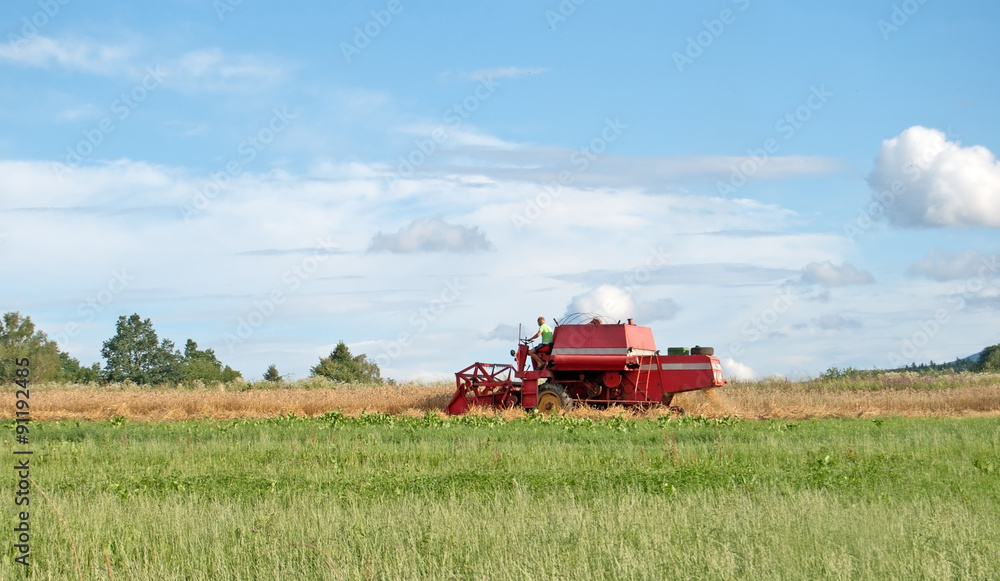 Obraz premium red combine