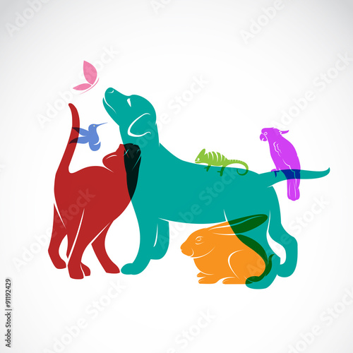 Vector group of pets - Dog, cat, parrot, chameleon, rabbit, butt