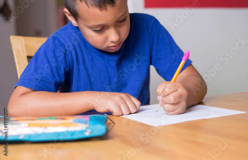 Homeschool boy learning.