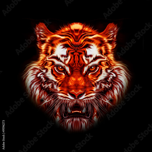 Fototapeta Naklejka Na Ścianę i Meble -  тигр на черном фоне
